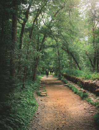 Trek dans la région de Nagano