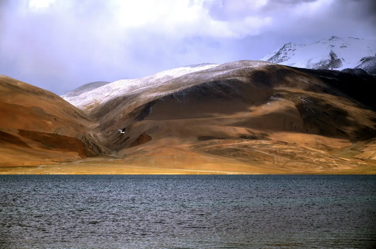 lac Tso Moriri au Ladakh avec Shanti Travel