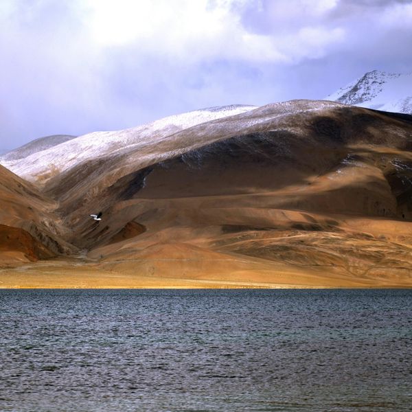 lac Tso Moriri au Ladakh avec Shanti Travel