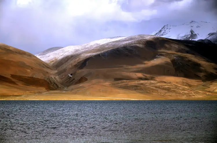 lac Tso Moriri au Ladakh avec Shanti Travel
