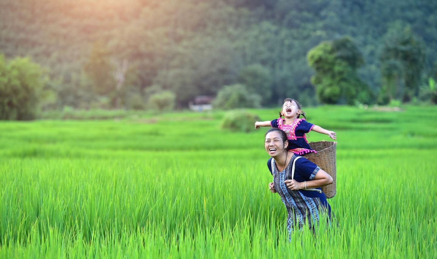 Vietnam-people-field