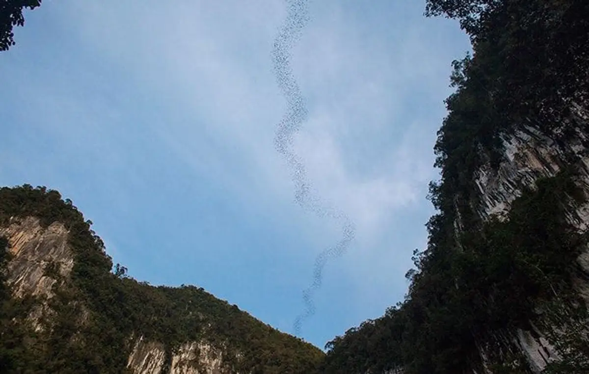 voyage-malaisie-trekking-kinabalu-trusmadi-j11