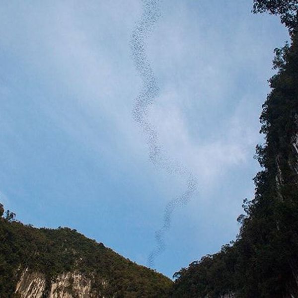 voyage-malaisie-trekking-kinabalu-trusmadi-j11