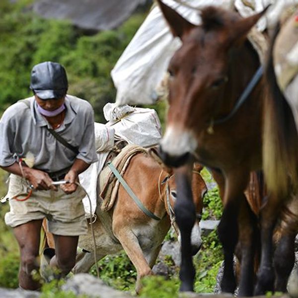 voyage-nepal-trek-lac-gokyo-everest-J3