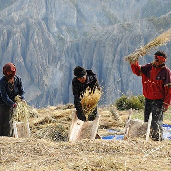 voyage-nepal-trek-sanctuaire-annapurnas-J3