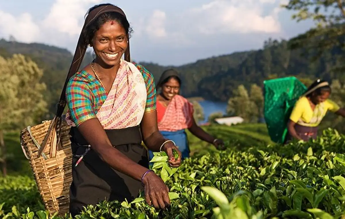 voyage-sri-lanka-dans-tous-ses-etats-j7