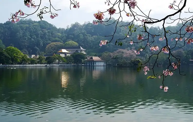 voyage-sri-lanka-en-famille-pays-elephant-j3