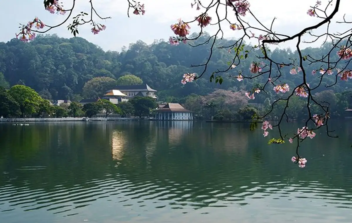 voyage-sri-lanka-en-famille-pays-elephant-j3