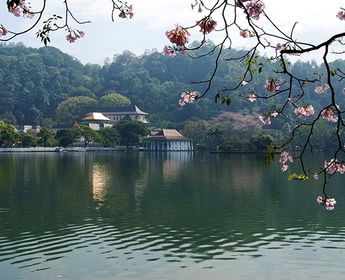 voyage-sri-lanka-en-famille-pays-elephant-j3