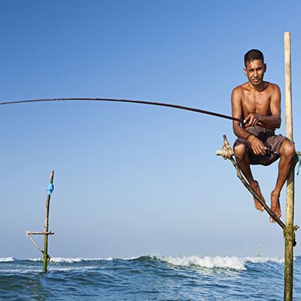 voyage-sri-lanka-en-famille-pays-elephant-j10