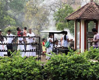 voyage-sri-lanka-en-famille-pays-elephant-j2