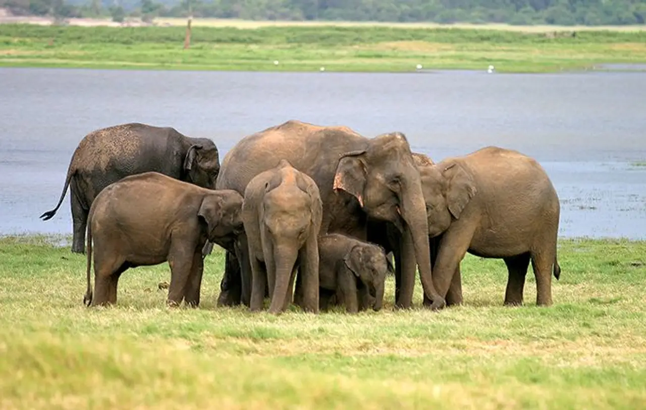 voyage-sri-lanka-inoubliable-emerveillement-quietude-j7