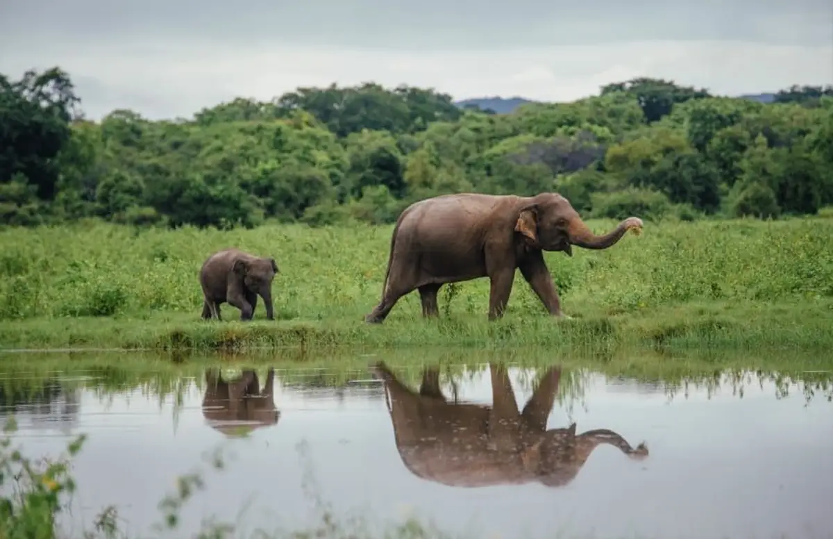 voyage-sri-lanka-rencontres-randonnées-nature-j10