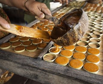 voyage-sri-lanka-rencontres-randonnées-nature-j3
