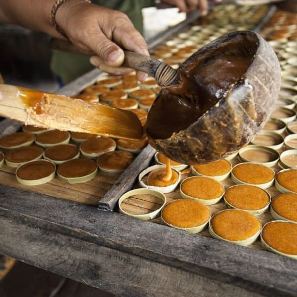 voyage-sri-lanka-rencontres-randonnées-nature-j3