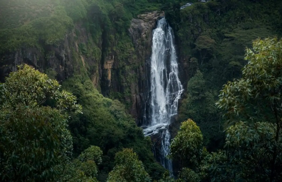 voyage-sri-lanka-rencontres-randonnées-nature-j6