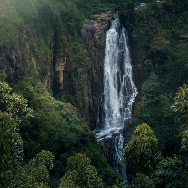 voyage-sri-lanka-rencontres-randonnées-nature-j6