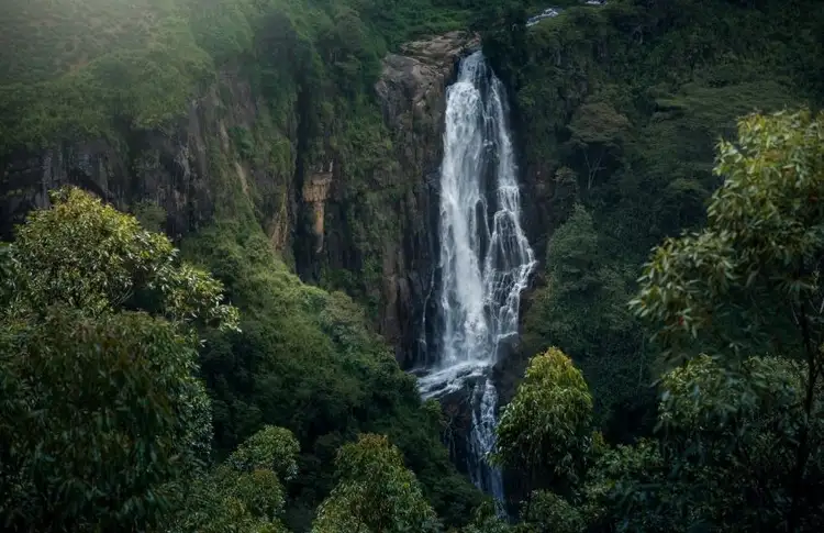 voyage-sri-lanka-rencontres-randonnées-nature-j6
