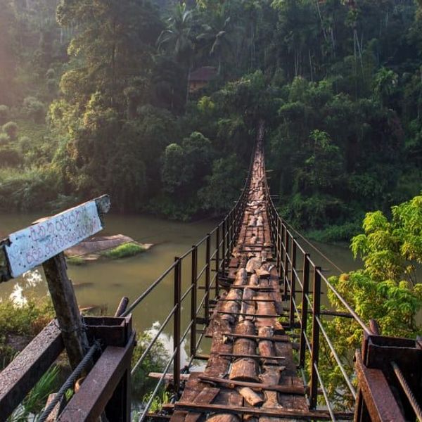 voyage-sri-lanka-rencontres-randonnées-nature-j8