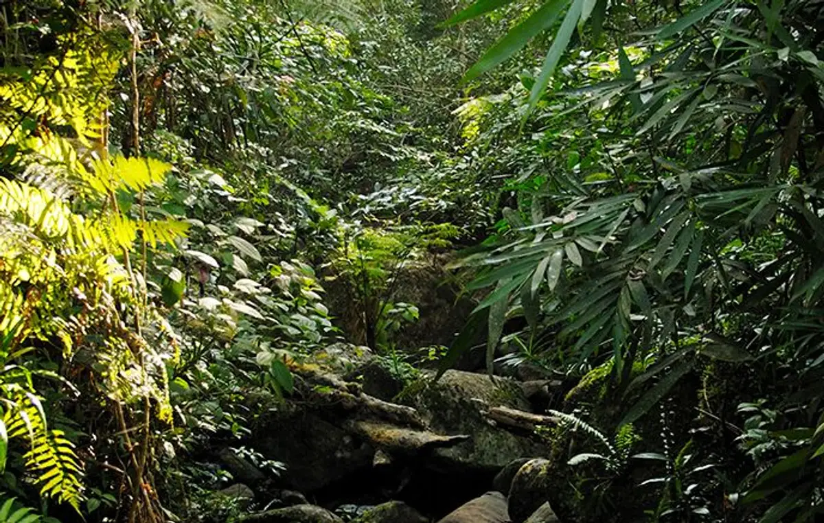 voyage-sri-lanka-sud-au-nord-j4