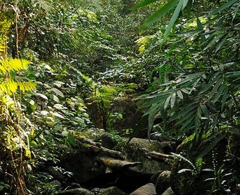 voyage-sri-lanka-sud-au-nord-j4