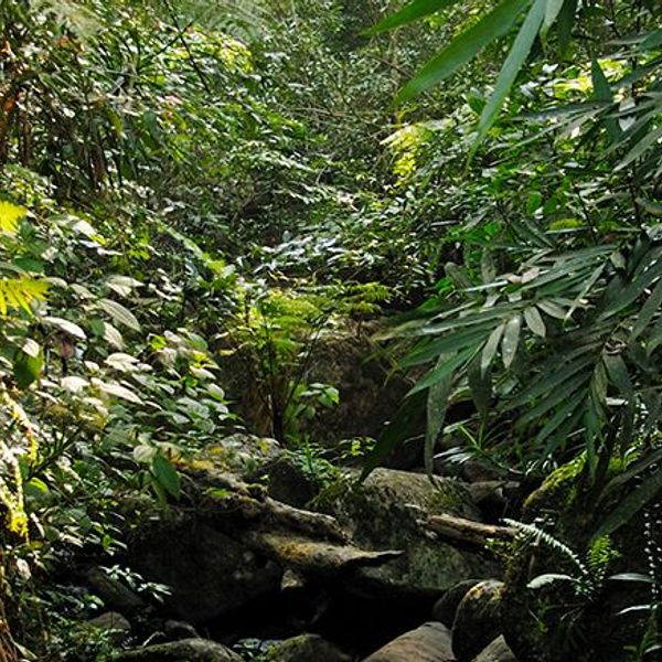 voyage-sri-lanka-sud-au-nord-j4