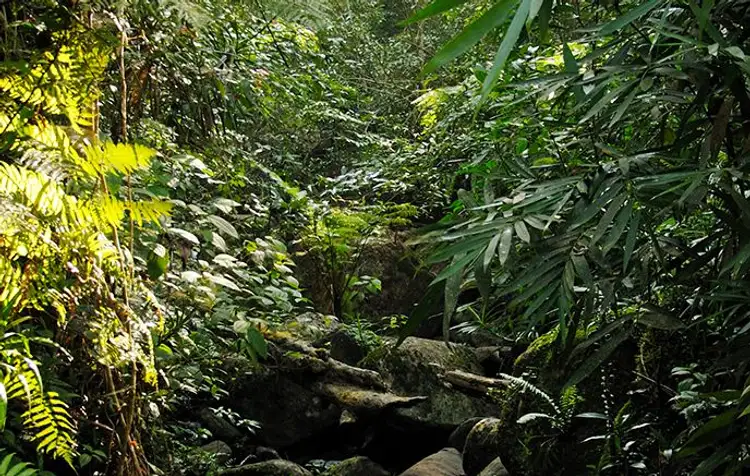 voyage-sri-lanka-sud-au-nord-j4