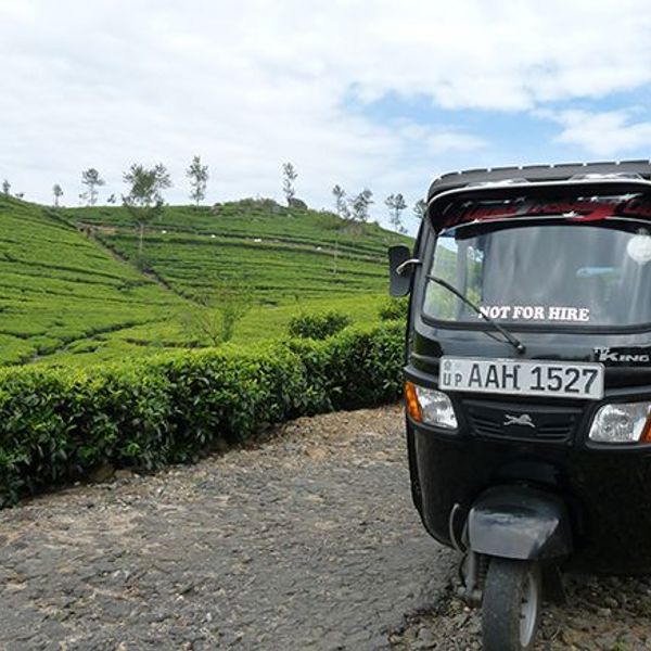 voyage-sri-lanka-sud-au-nord-j7