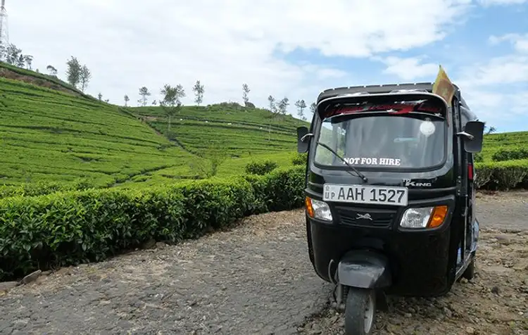 voyage-sri-lanka-sud-au-nord-j7