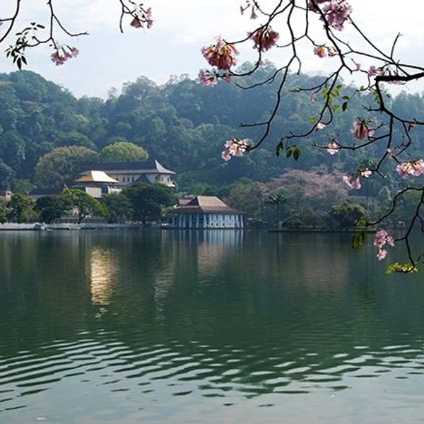 voyage-sri-lanka-sud-au-nord-j8