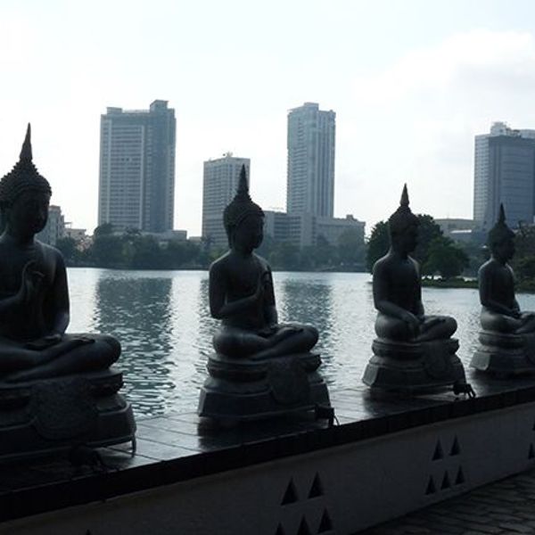 voyage-sri-lanka-sud-au-nord-j2