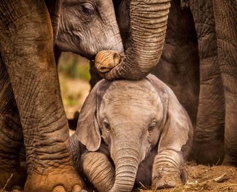 voyage-srilanka-les-essentiels-j3