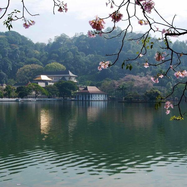 voyage-srilanka-les-essentiels-j5