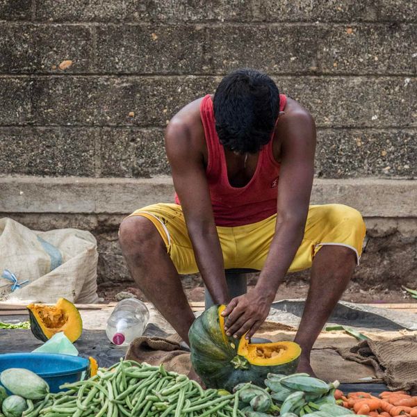 voyage-srilanka-les-essentiels-j8