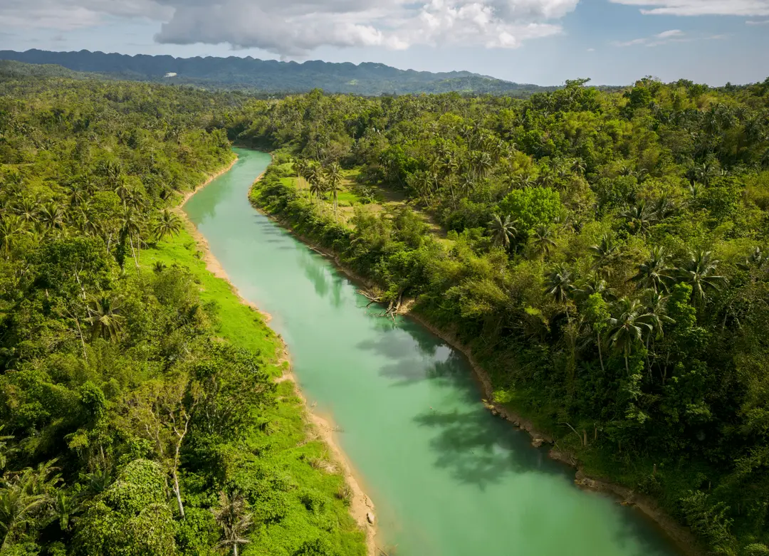 Trip to the Philippines - turquoise water of the Loboc River winding through Bohol jungle