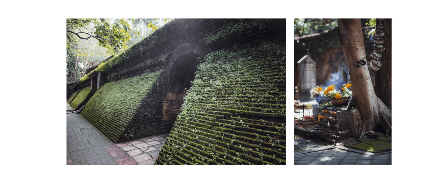 Voyage en Thaïlande - Entrée des tunnels et offrandes au Wat Umong de Chiang Mai