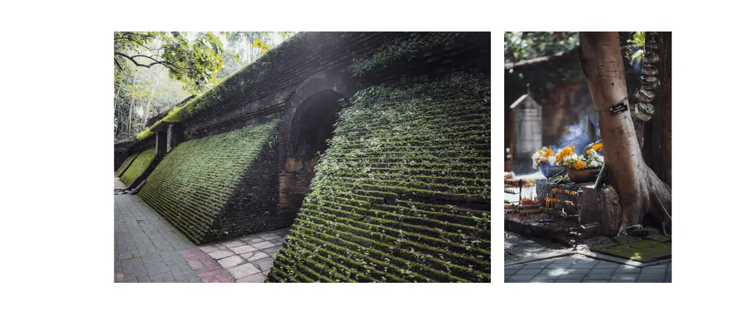 Voyage en Thaïlande - Entrée des tunnels et offrandes au Wat Umong de Chiang Mai