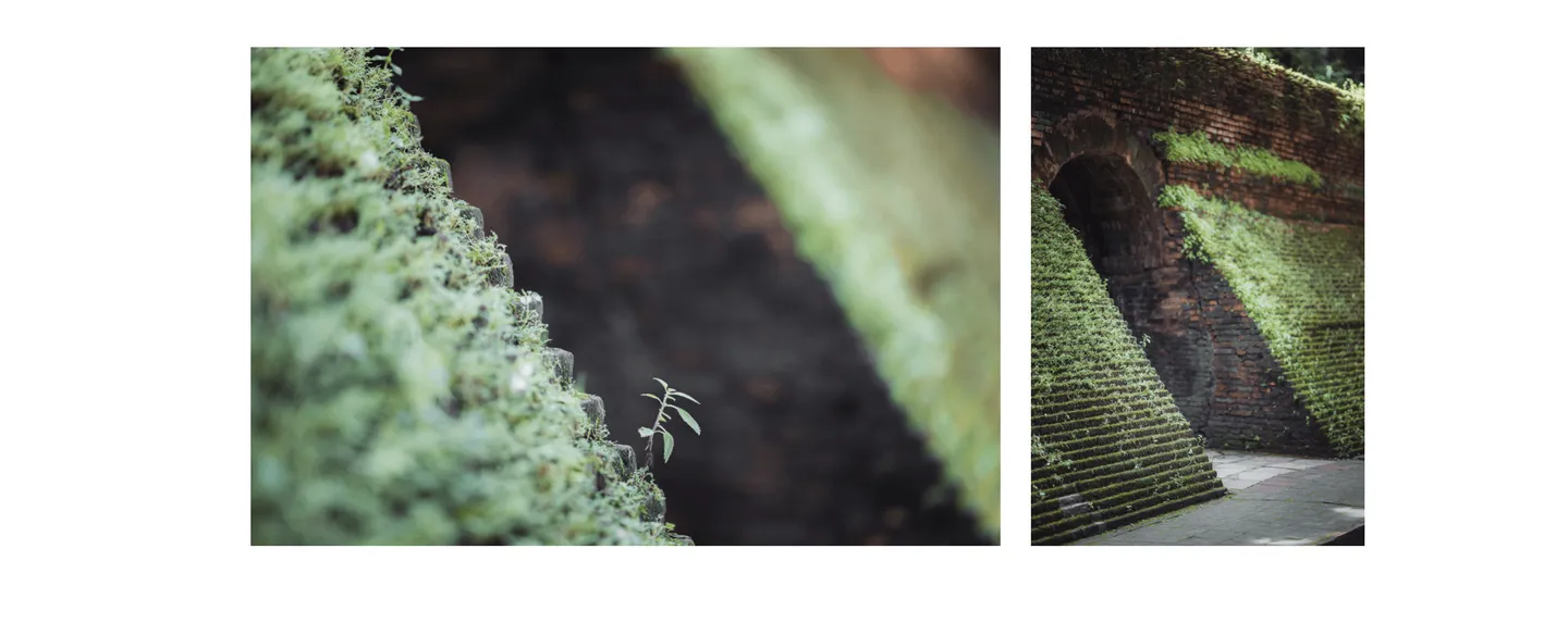 Voyage en Thaïlande - détails des parois couvertes de mousse et de lichens au Wat Umong de Chiang Mai