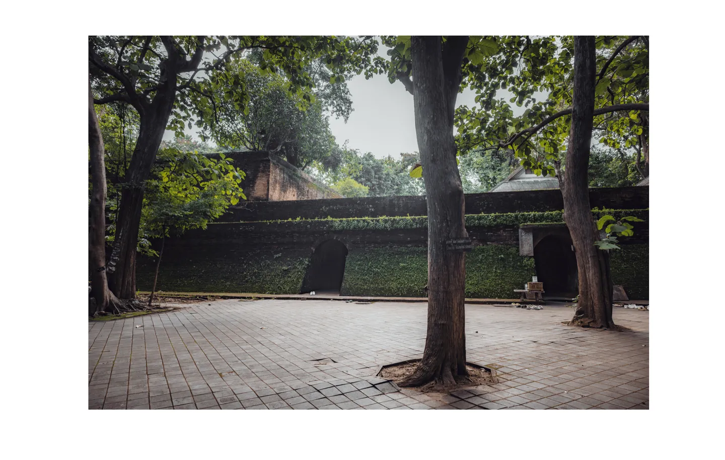 Voyage en Thaïlande - entrée voûtée des tunnels du Wat Umong dans la forêt de Chiang Mai