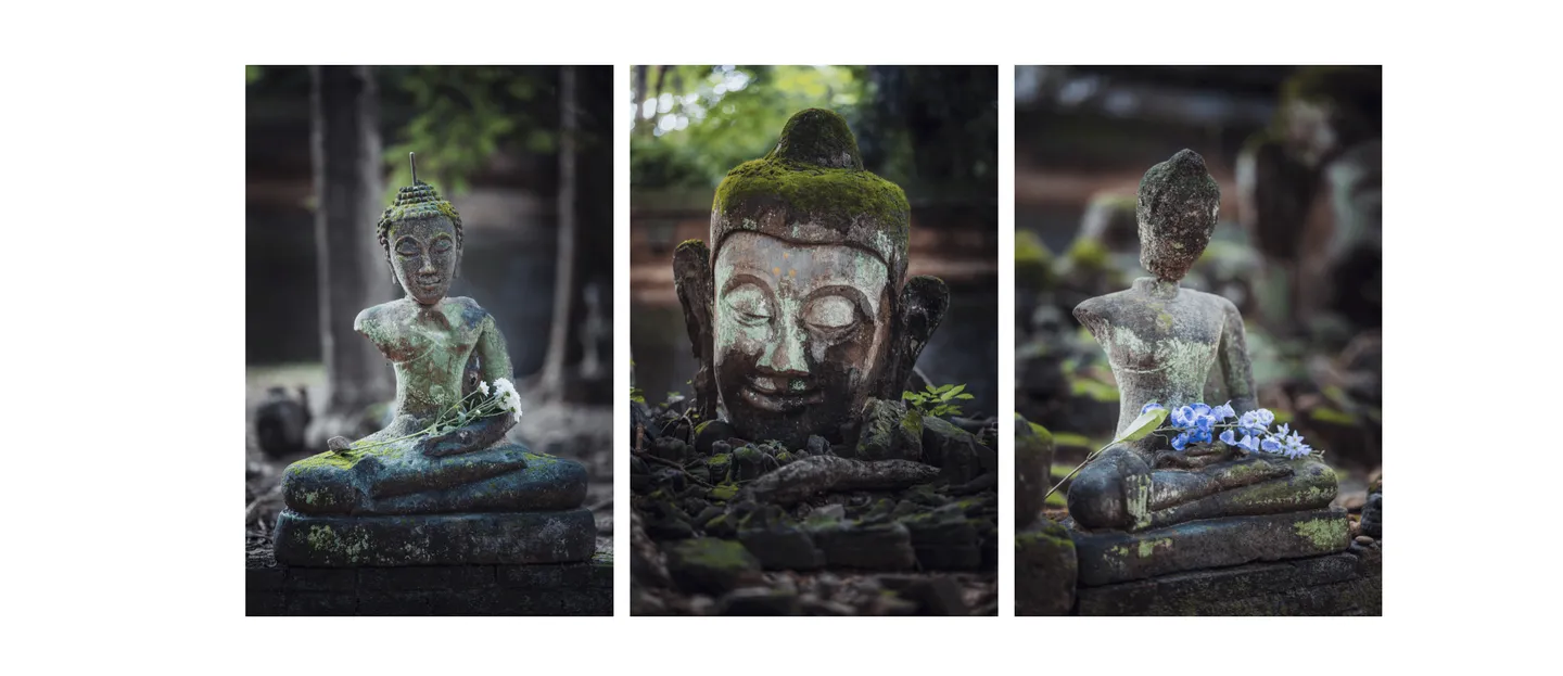 Voyage en Thaïlande - gros plan sur une tête de Bouddha en pierre et autres statues au Wat Umong de Chiang Mai