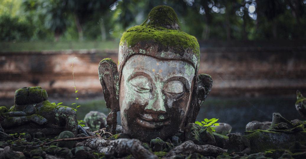 Voyage en Thaïlande - tête de Bouddha en pierre recouverte de mousse dans le jardin du Wat Umong à Chiang Mai
