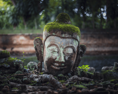 Voyage en Thaïlande - tête de Bouddha en pierre recouverte de mousse dans le jardin du Wat Umong à Chiang Mai