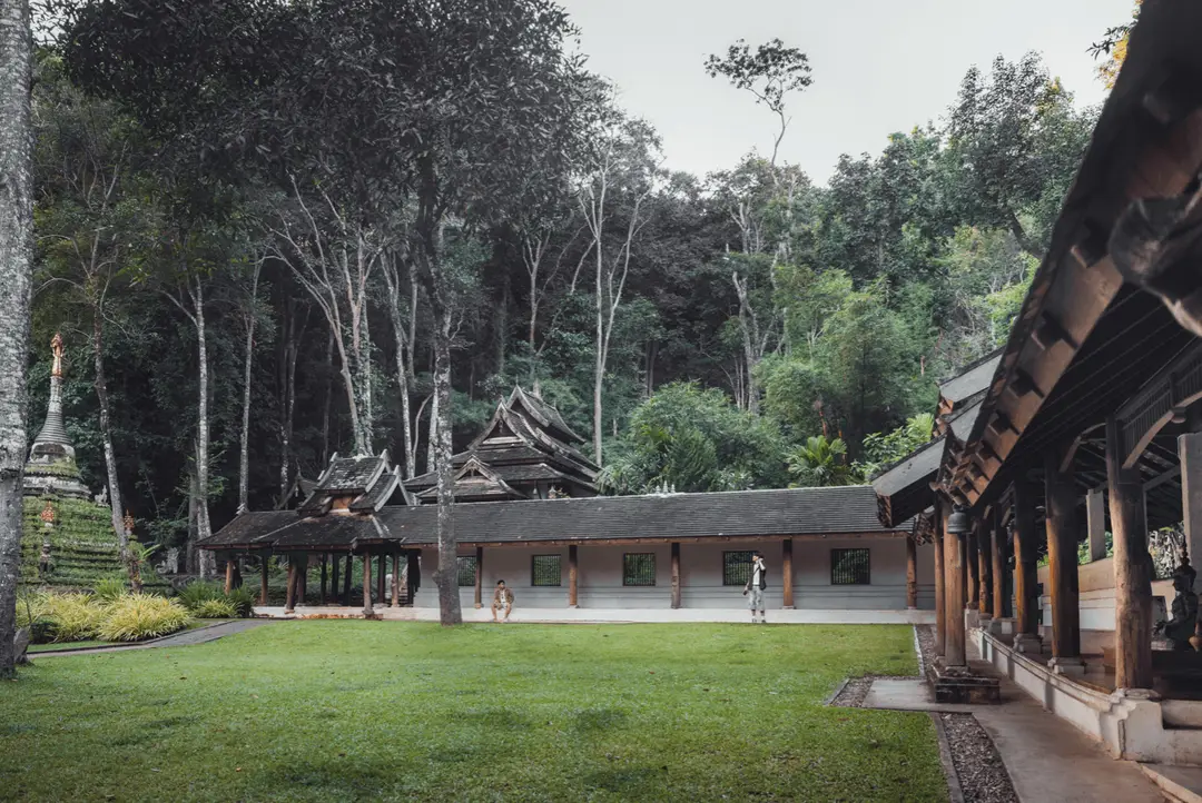 Voyage en Thaïlande - atmosphère de forêt enchantée au Wat Pha Lat où nature et sacré se confondent
