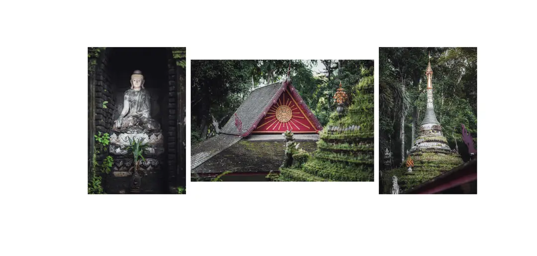 Voyage en Thaïlande - atmosphère de temple perdu redécouvert après des siècles d'abandon au Wat Pha Lat