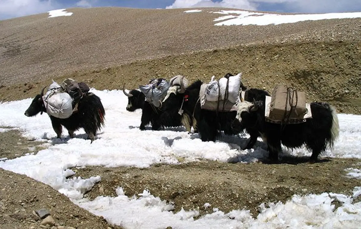 voyage-tibet-toit-du-monde-J10