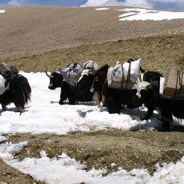 voyage-tibet-toit-du-monde-J10