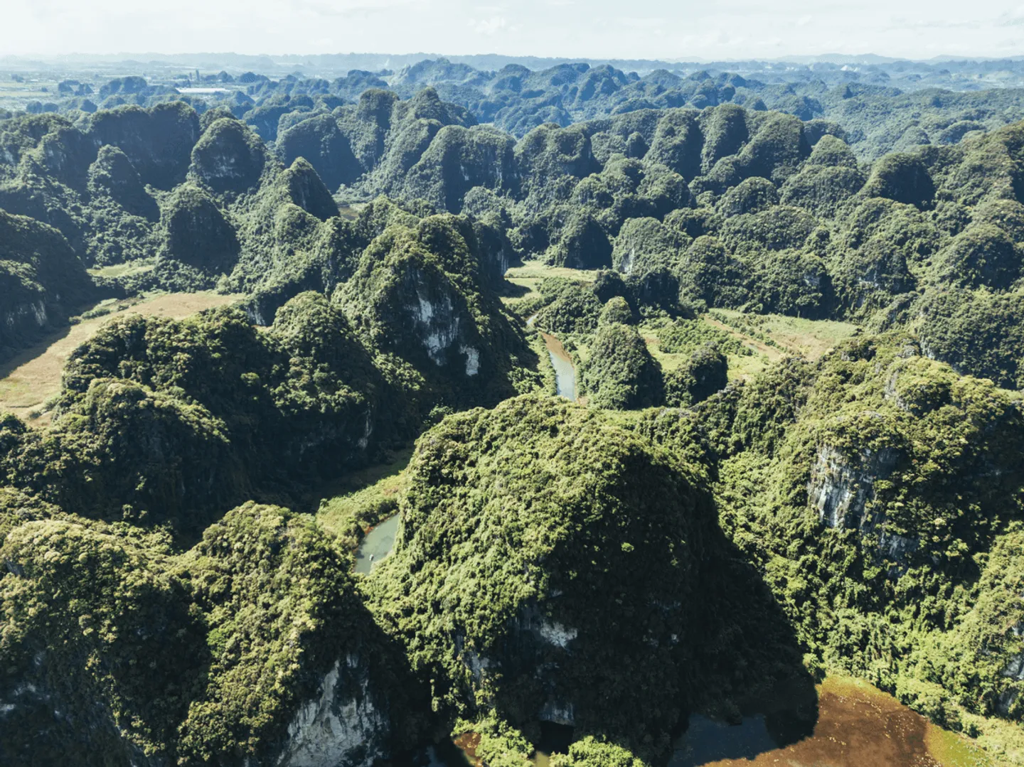 Voyage au Vietnam - écosystème préservé dans les vallées isolées du complexe de 2 168 hectares