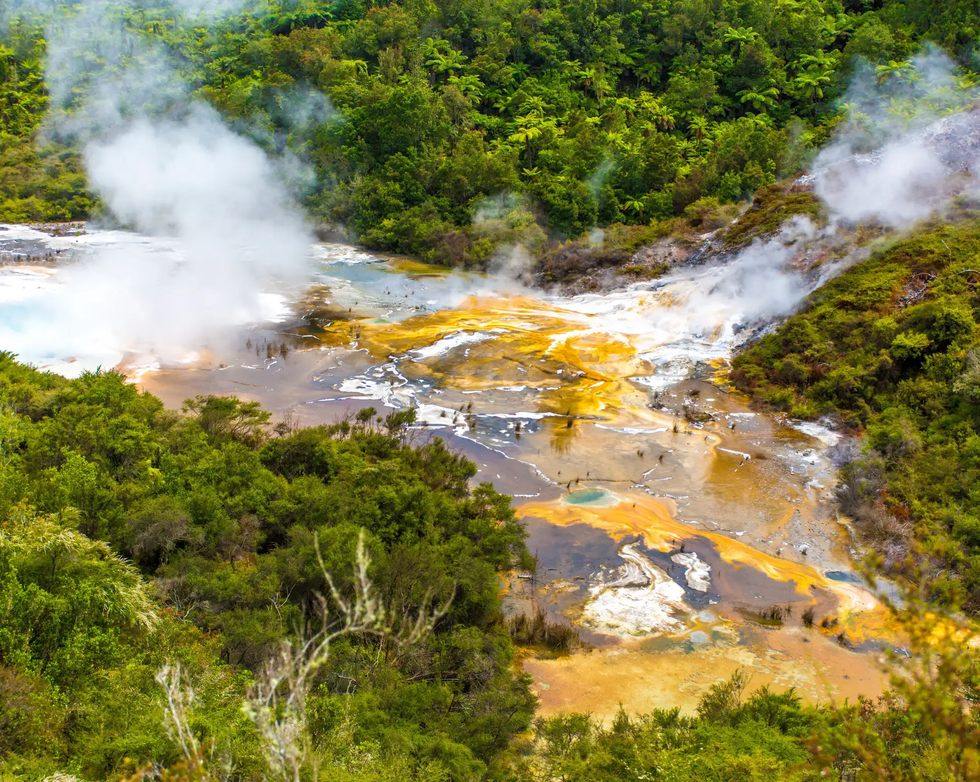 Vue aérienne d'un site géothermique coloré avec fumerolles de vapeur entouré d'une végétation luxuriante à Taupo en Nouvelle-Zélande.