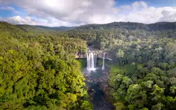 Vue aérienne d'une impressionnante cascade jaillissant au cœur d'une forêt tropicale dense sur le plateau des Bolovens au Laos.
