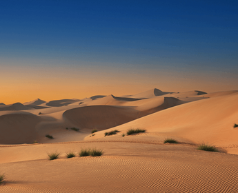 decouverte-desert-wahiba-sands-sharqiya